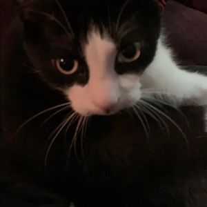 Meet your Posher, Serenity